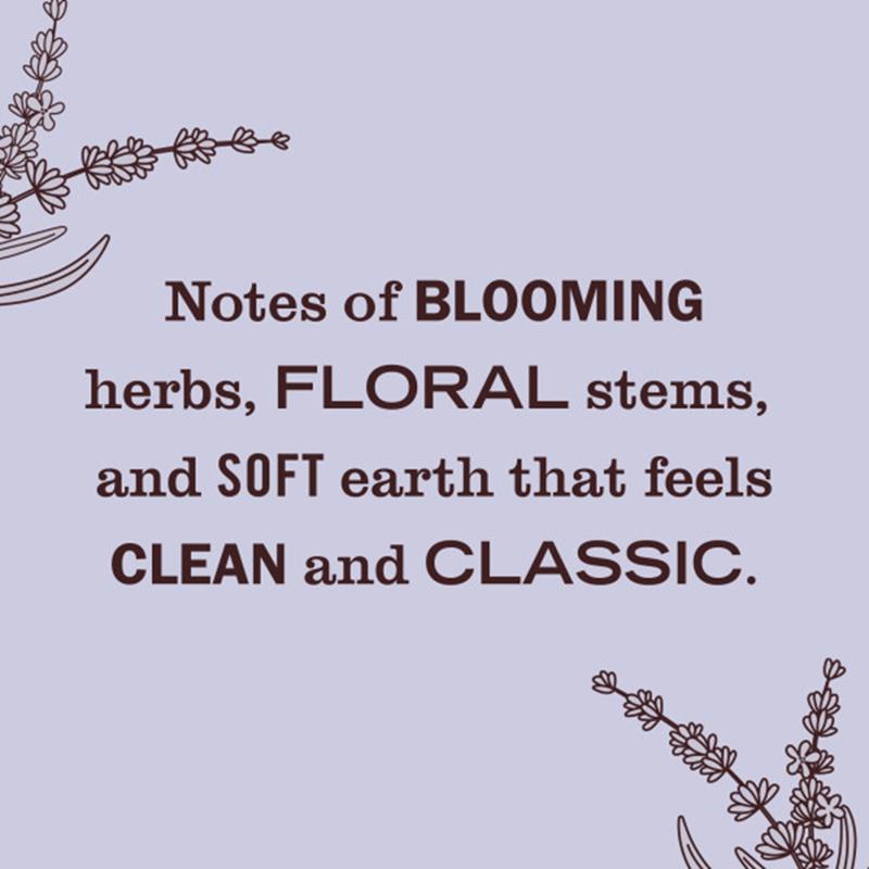 Mrs. Meyer's Clean Day Lavender Scent Air Freshener Oil Refill 0.67 oz Liquid 1 pk