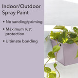 Krylon Fusion All-in-One Matte Lavender Haze Paint +Primer 12 oz