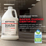 Rust-Oleum Professional Cleaners Citrus Scent Carpet Stain Remover 1 gal Liquid