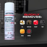 Rust-Oleum Professional Cleaners Cleaner and Degreaser 20 oz Foam