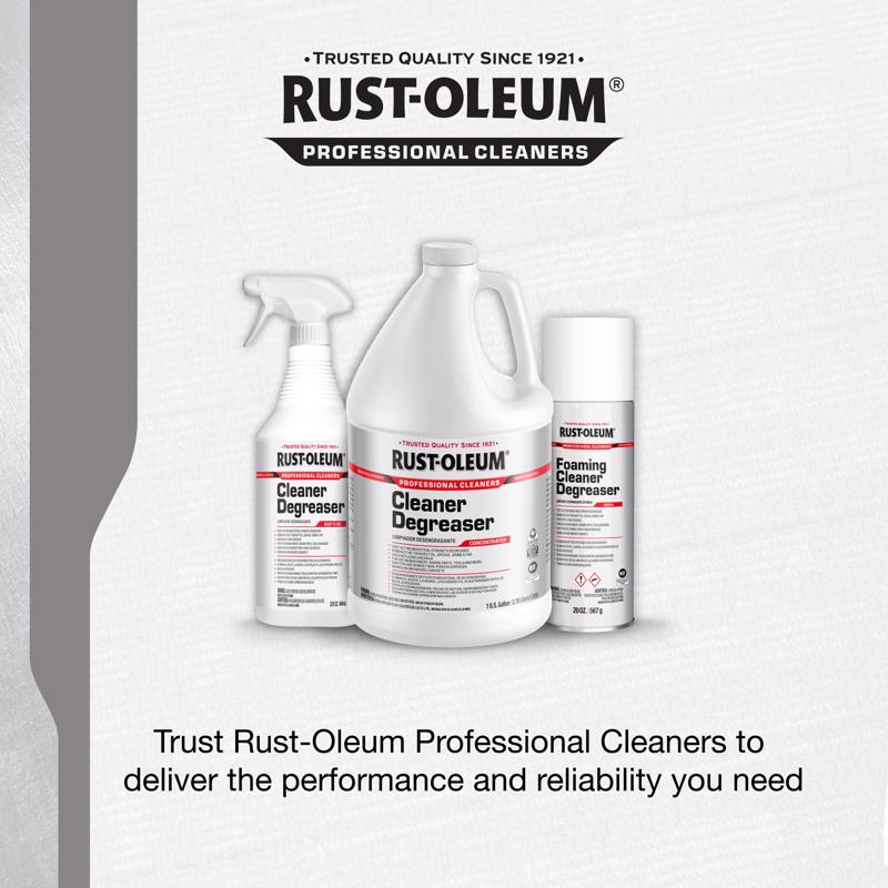Rust-Oleum Professional Cleaners Cleaner and Degreaser 20 oz Foam