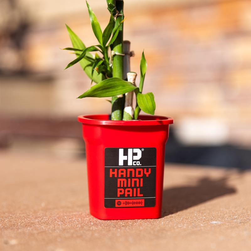 Handy Red Paint Pail