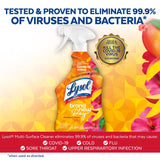 Lysol Brand New Day Mango & Hibiscus Scent Disinfectant 32 oz