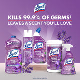 Lysol Brand New Day Lavender and Cotton Blossom Scent Toilet Bowl Cleaner 24 oz Gel