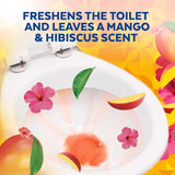 Lysol Brand New Day Mango and Hibiscus Scent Toilet Bowl Cleaner 24 oz Gel