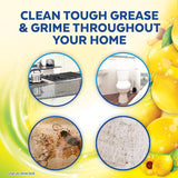 Lysol Sparkling Lemon & Sunflower Essence Scent Concentrated Multi-Purpose Cleaner Liquid 90 oz