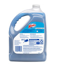 Windex Commercial Line No Scent Glass and Surface Cleaner 1 gal Liquid