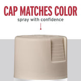 Rust-Oleum Stops Rust Satin White Spray Paint 12 oz