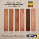 Minwax Wood Finish Semi-Transparent Sedona Red Oil-Based Penetrating Wood Stain 0.5 pt