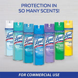Lysol Professional Original Scent Disinfectant Spray 19 oz 1 pk