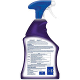 Lysol Mold and Mildew Stain Remover 32 oz