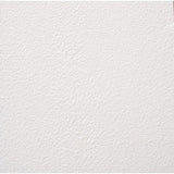 AMES Safe-T-Deck Semi-Gloss White Anti-slip Coating 1 gal