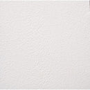 AMES Safe-T-Deck Semi-Gloss White Anti-slip Coating 1 gal