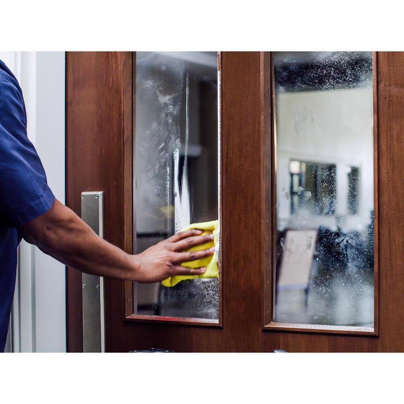 Zep Mint Scent Glass Cleaner 19 oz Liquid