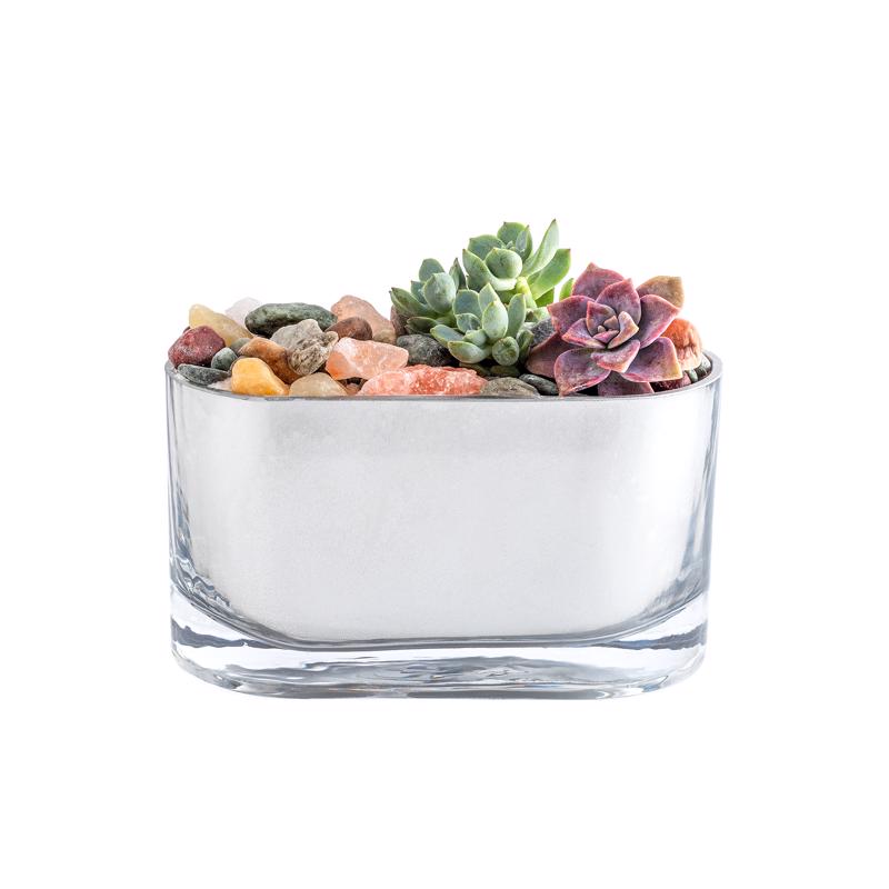 Krylon Looking Glass High-Gloss Silver Reflective Finish Spray 6 oz