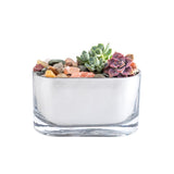 Krylon Looking Glass High-Gloss Silver Reflective Finish Spray 6 oz