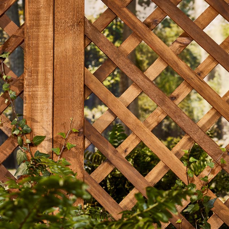 Cabot Australian Timber Oil Low VOC Transparent Tintable Tintable Base Oil-Based Australian Timber O