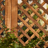 Cabot Australian Timber Oil Low VOC Transparent Tintable Tintable Base Oil-Based Australian Timber O