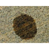 Bio-Clean 40 oz Hard Water Stain Remover