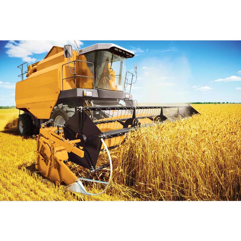 Ace Rust Stop Machine & Implement Gloss Caterpillar Yellow Protective Enamel Spray Paint 15 oz