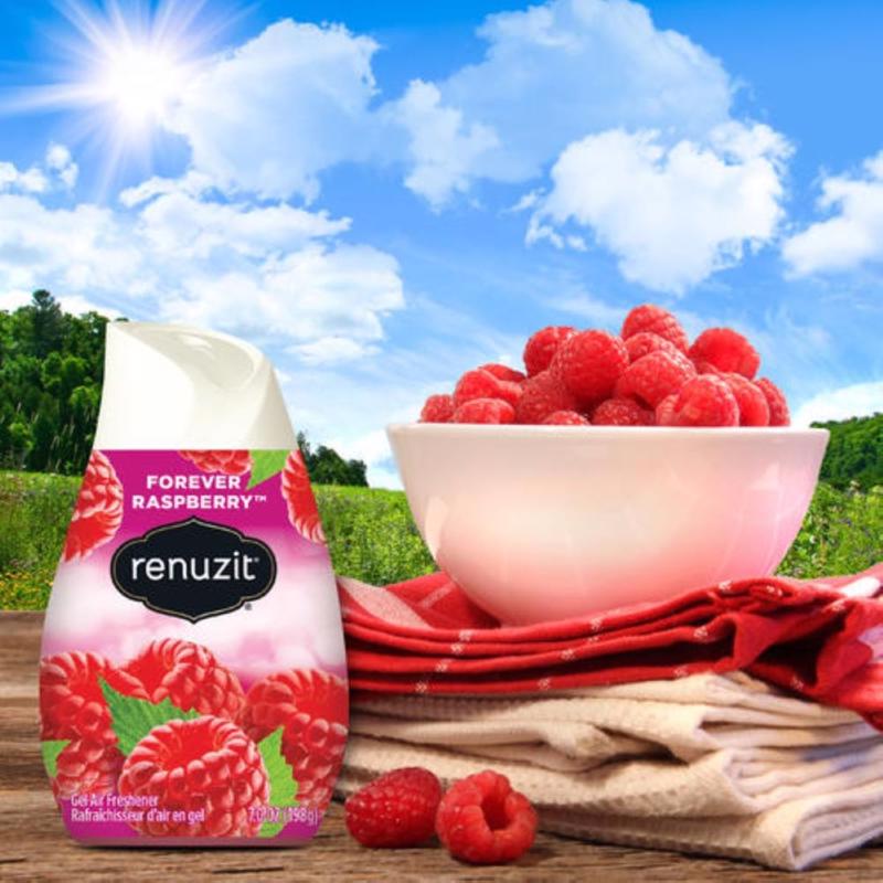 Renuzit Forever Raspberry Scent Air Freshener 7 oz Gel 3 pk
