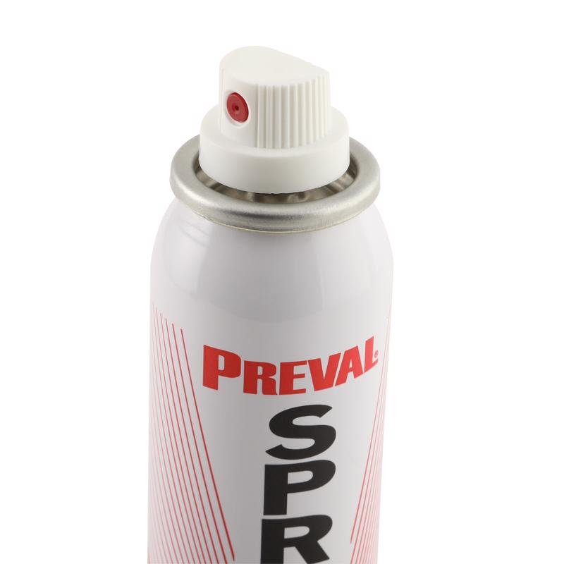 Preval 60 psi Aluminum Paint Sprayer System