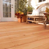 Thompson's WaterSeal Transparent Natural Cedar Waterproofing Wood Stain and Sealer 1 gal