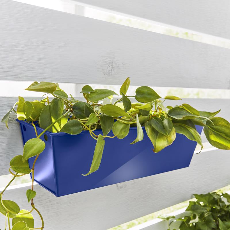 Krylon Fusion All-In-One Gloss Blue Hyacinth Paint+Primer Spray Paint 12 oz