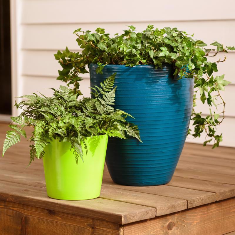 Krylon Fusion All-In-One Gloss Jungle Green Paint+Primer Spray Paint 12 oz