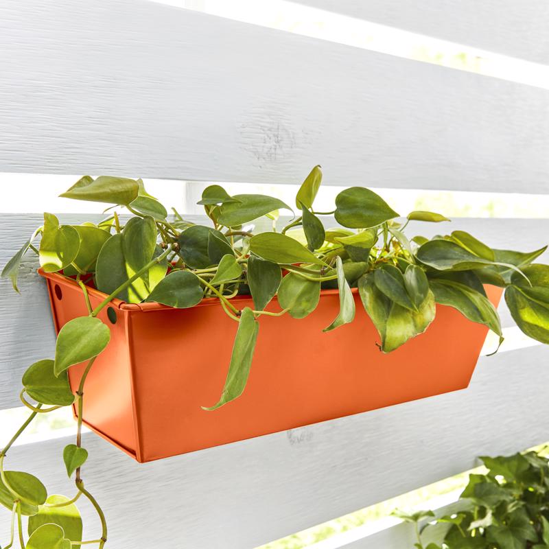 Krylon Fusion All-In-One Gloss Popsicle Orange Paint+Primer Spray Paint 12 oz