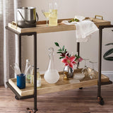 Krylon Fusion All-In-One Hammered Dark Bronze Paint+Primer Spray Paint 12 oz