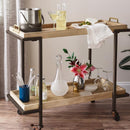 Krylon Fusion All-In-One Hammered Dark Bronze Paint+Primer Spray Paint 12 oz