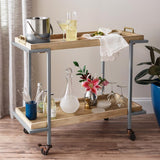 Krylon Fusion All-In-One Hammered Silver Paint+Primer Spray Paint 12 oz