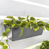 Krylon Fusion All-In-One Gloss Vintage Gray Paint+Primer Spray Paint 12 oz