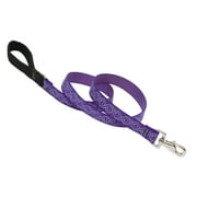 LupinePet Original Designs Multicolor Jelly Roll Nylon Dog Leash