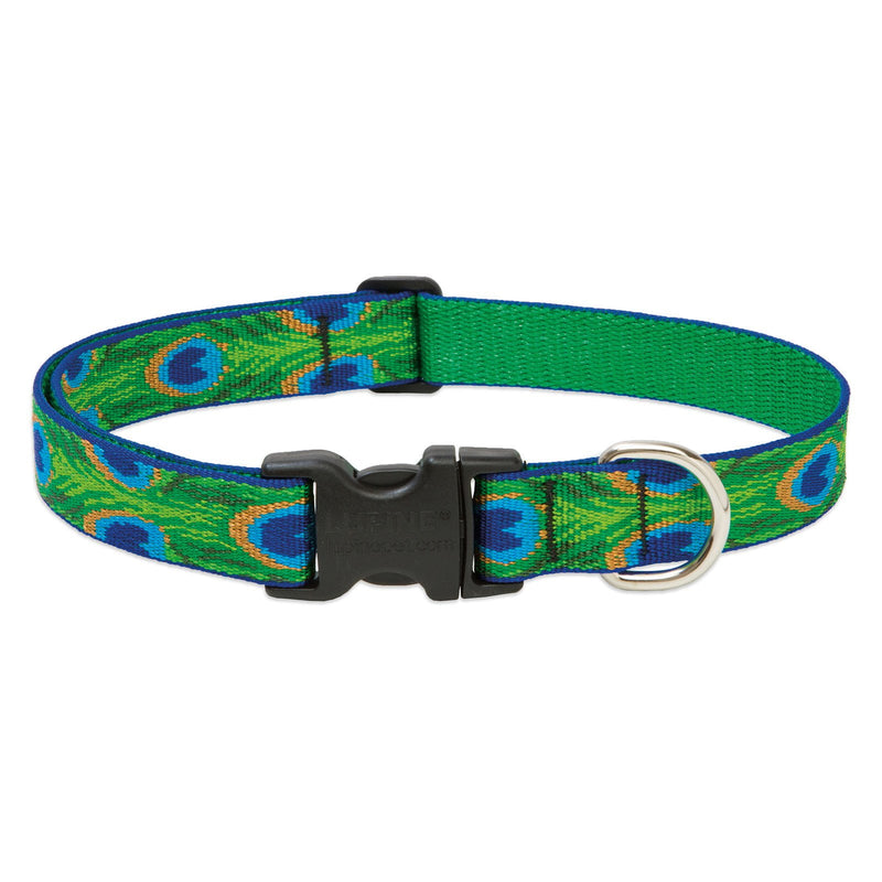 LupinePet Original Designs Multicolor Tail Feathers Nylon Dog Adjustable Collar