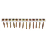 Senco No. 8 X 2 in. L Rex Yellow Zinc Wood Screws 1000 pk