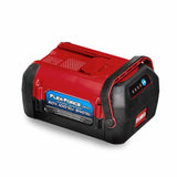 BATTRY LITHIUM ION 60V