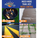 Flame King 100K BTU Weed Burner Weed Torch Kit 1 pc Propane