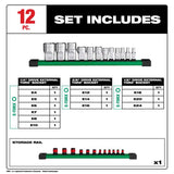 Milwaukee 1/4 & 3/8 & 1/2 in. drive SAE External Torx Socket Set 12 pc
