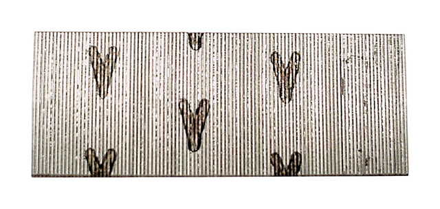 STRIP PIN 1"X23G GALV