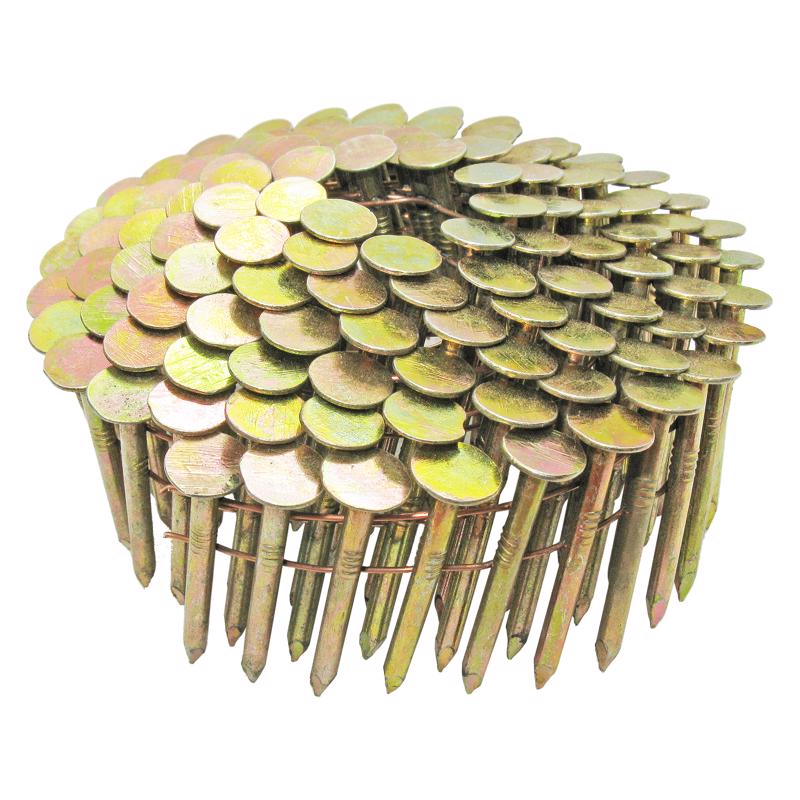Grip-Rite 1-1/4 in. L X 11 Ga. Angled Coil Electro Galvanized Roofing Nails 15 deg 7200 pk