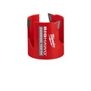 BIG HAWG+CT HLSW 2-3/4"