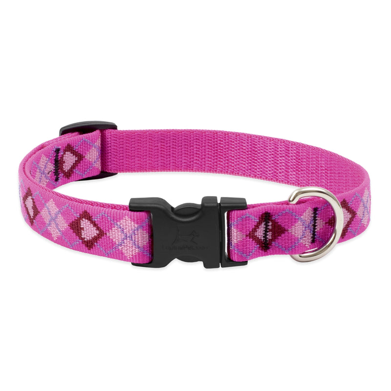 LupinePet Original Designs Multicolor Puppy Love Nylon Dog Adjustable Collar