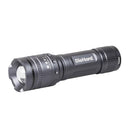 Dorcy DieHard 600 lm Gray LED Flashlight AAA Battery