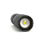 Dorcy DieHard 1000 lm Gray LED Flashlight AAA Battery