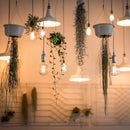 Feit LED G25 E26 (Medium) Filament LED Bulb Daylight 100 Watt Equivalence 1 pk