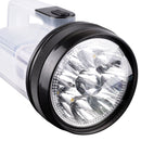 Ace 250 lm White LED 2-in-1 Lantern and Flashlight