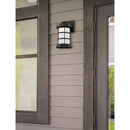 Westinghouse Barkley Matte Black Switch LED Light Fixture