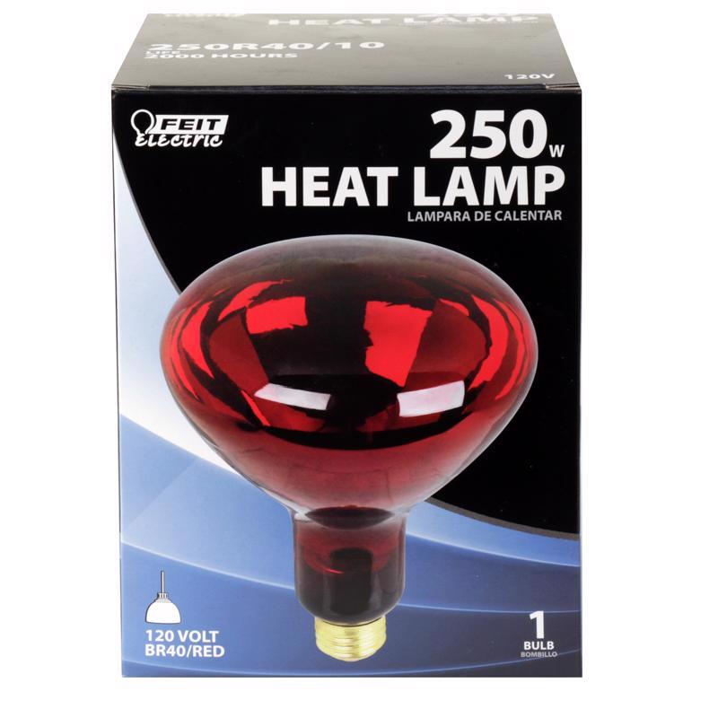 INCNDSNT BULB 120V 250W